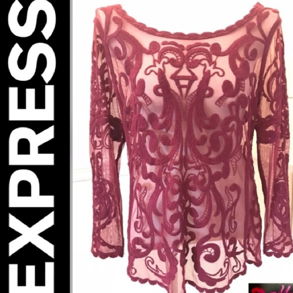 Express Embroided Lace Mesh Top